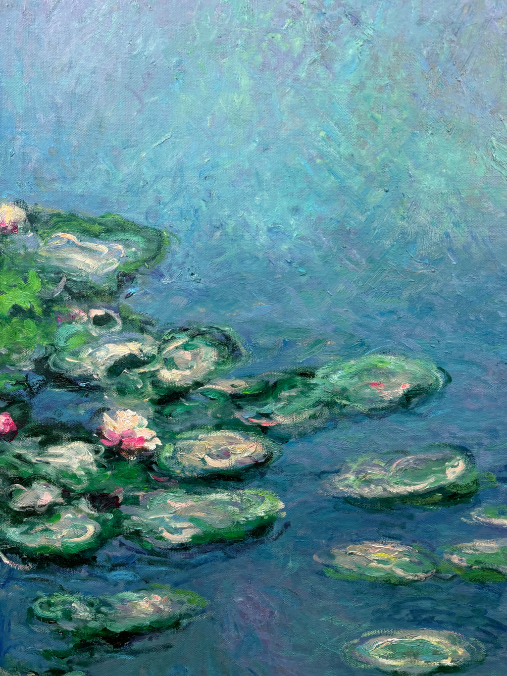 Water Lilies