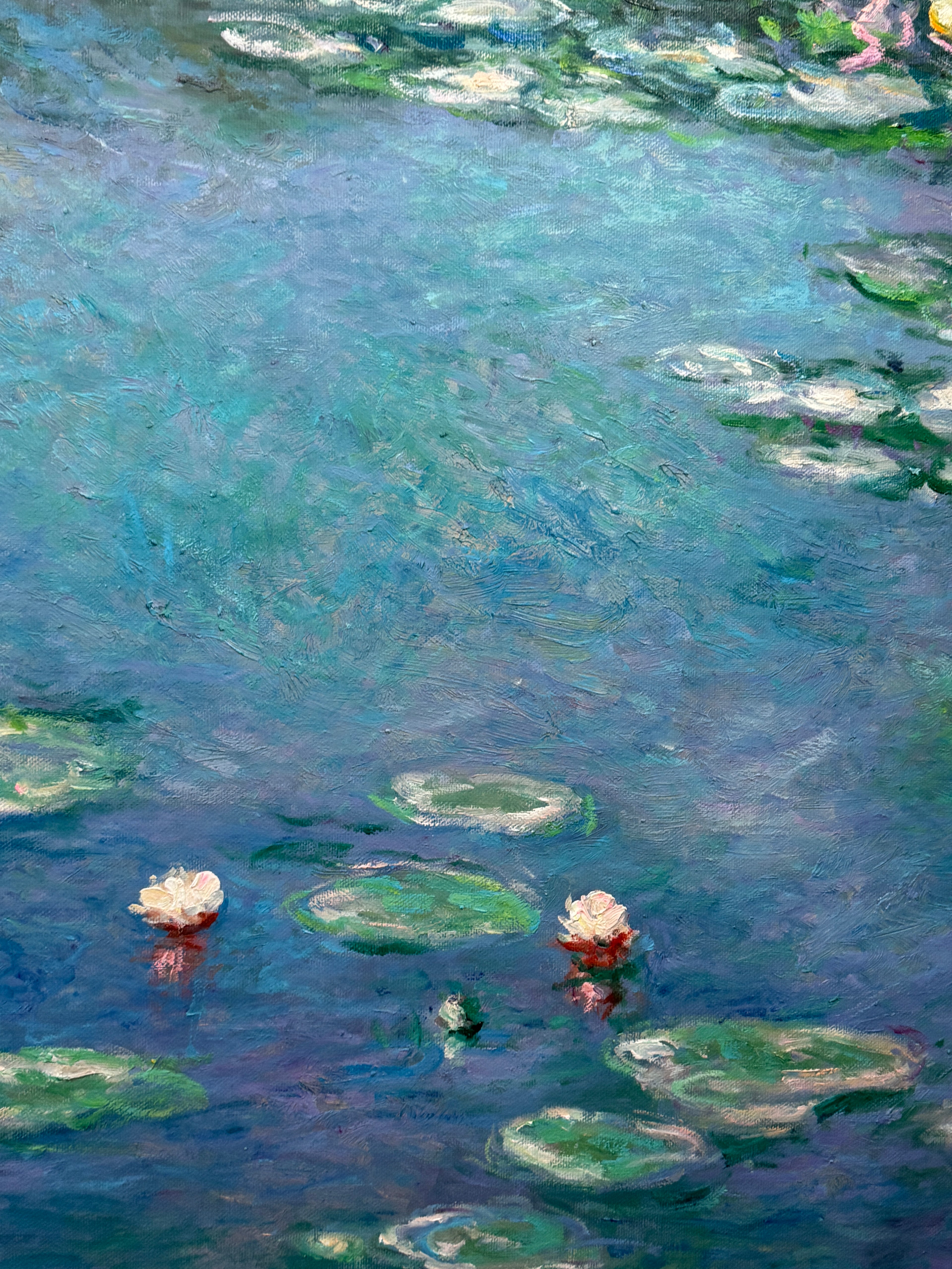 Water Lilies