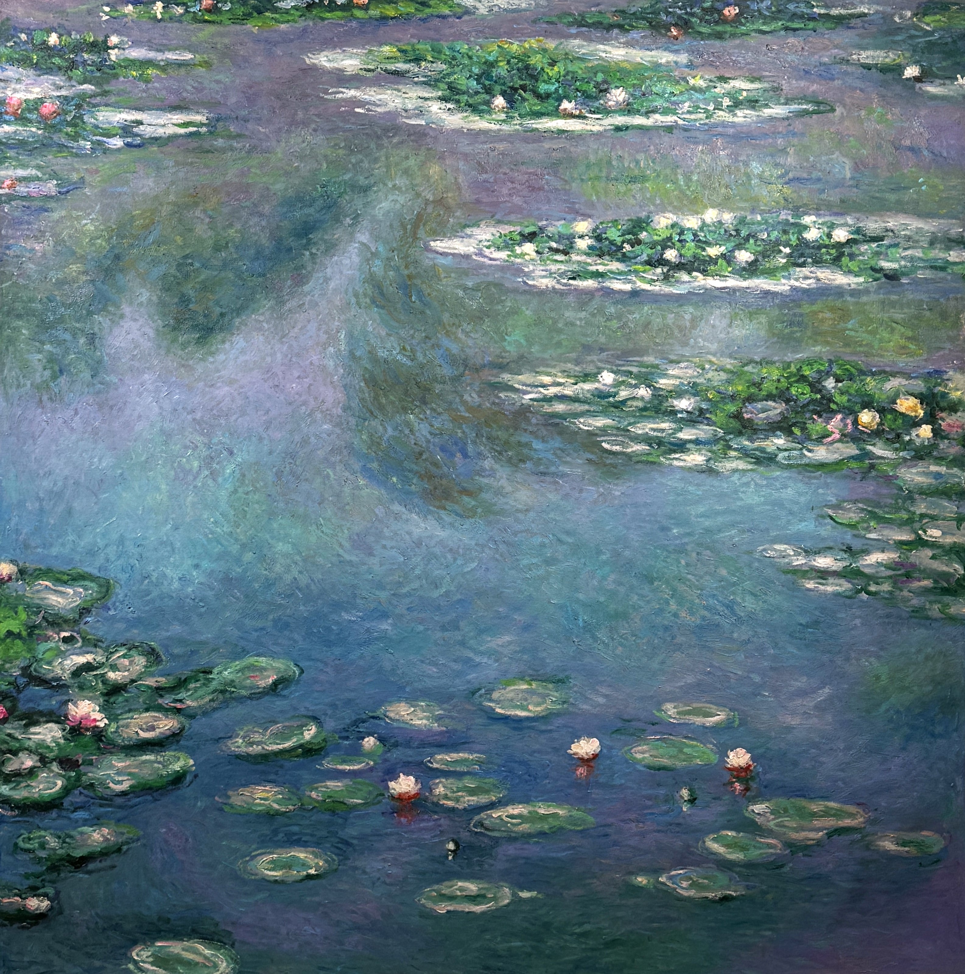 Water Lilies